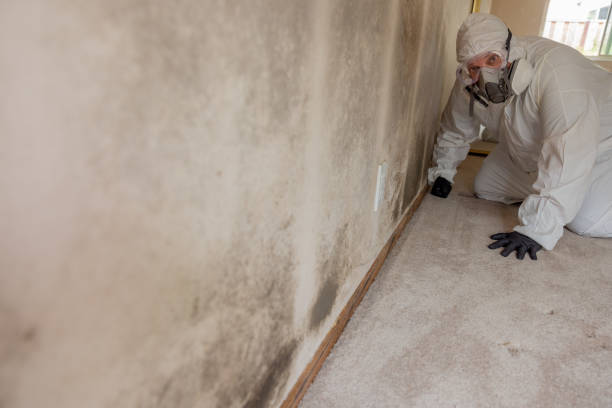 Best Asbestos and Lead Testing During Mold Inspection  in Carrollton, VA