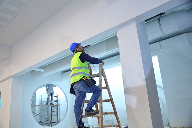 Best Mold Remediation for Healthcare Facilities  in Carrollton, VA
