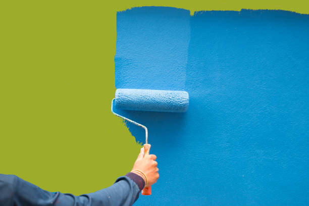 Best Attic Mold Removal  in Carrollton, VA